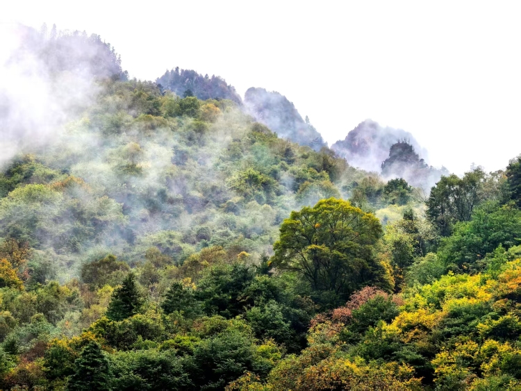 隴南宕昌:“智慧+服務”繪就文旅融合新圖景_fororder_1f63677a7d4445eaba8efa425de68271