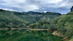 銘記歷史 緬懷先烈丨紅綠生“金” 大別山老區“煥”新景