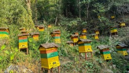湖南城步招商引資推動特色産業發展