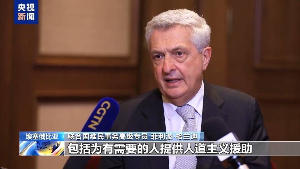 總臺記者專訪丨聯合國專員：人道主義與發展援助對幫助難民缺一不可