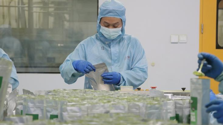 A New Paradigm of “Intelligent Tea Manufacturing”: Guizhou Matcha Aroma Spreads Worldwide_fororder_圖片8