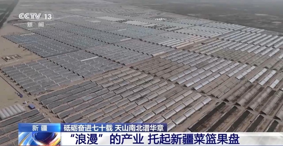 砥礪奮進七十載 天山南北譜華章丨沙漠上的“浪漫”産業 托起新疆菜籃果盤