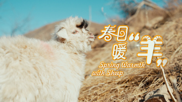【鮮味中國·春醞】春日暖“羊”_fororder_微信圖片_20260304134734_310_2016