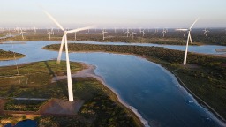 全球媒體聚焦 | 歐洲學者強調 中歐綠色夥伴關係將捍衛全球利益和人類未來