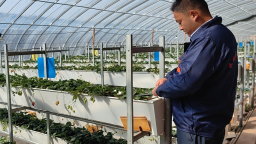 臨夏州永靖縣：春耕時節勞作忙 科技興農促振興
