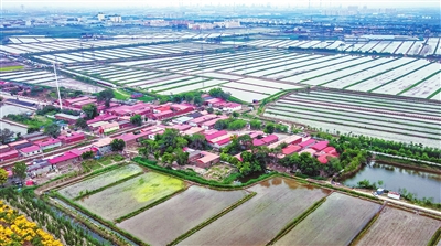 圖片默認標題_fororder_p3_b