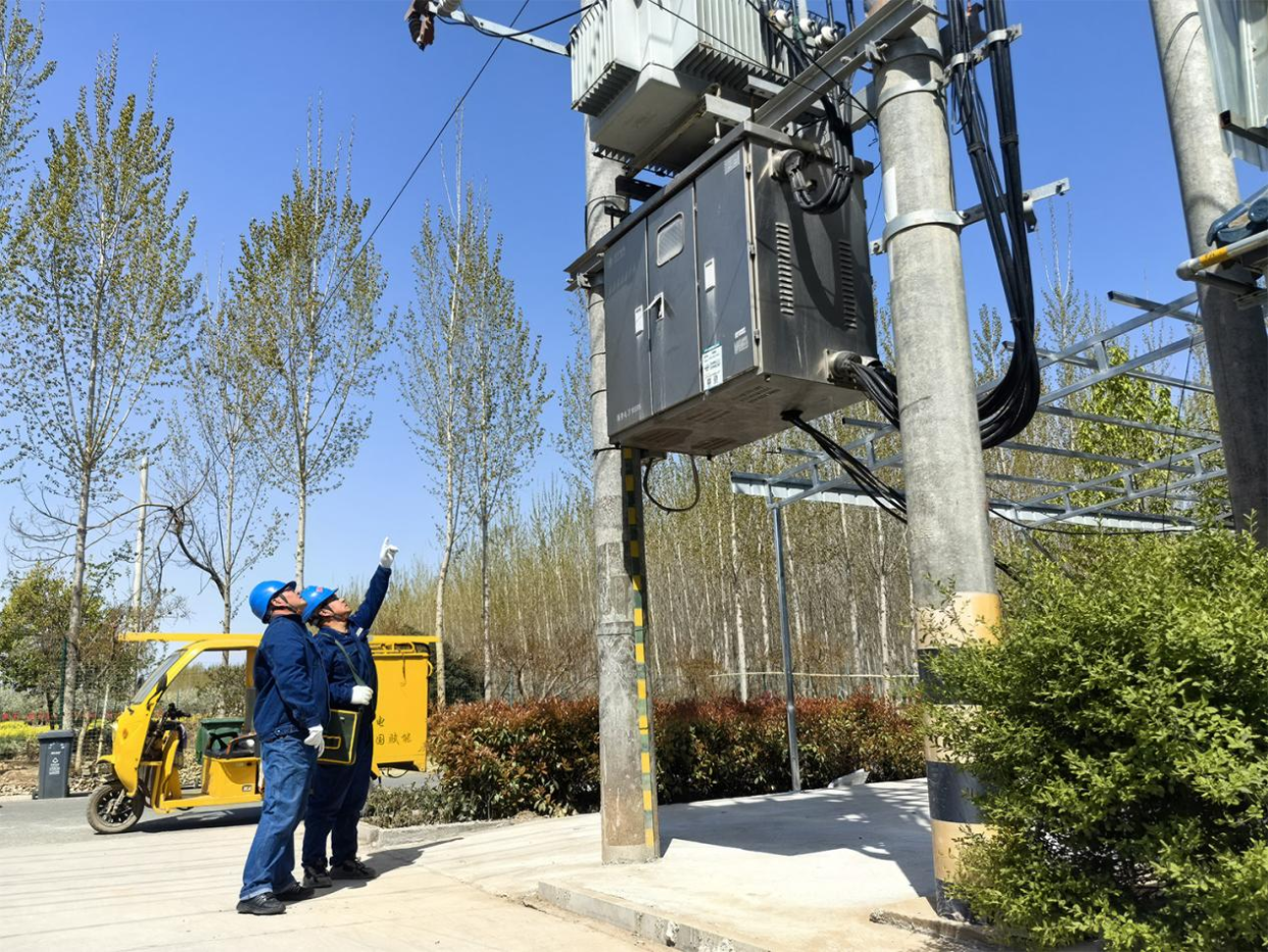 Jiaozuo, Henan: Tailored Power Services Safeguard Morel Mushroom Farming_fororder_圖片11