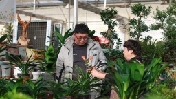 酒泉：花卉市場“春意濃”