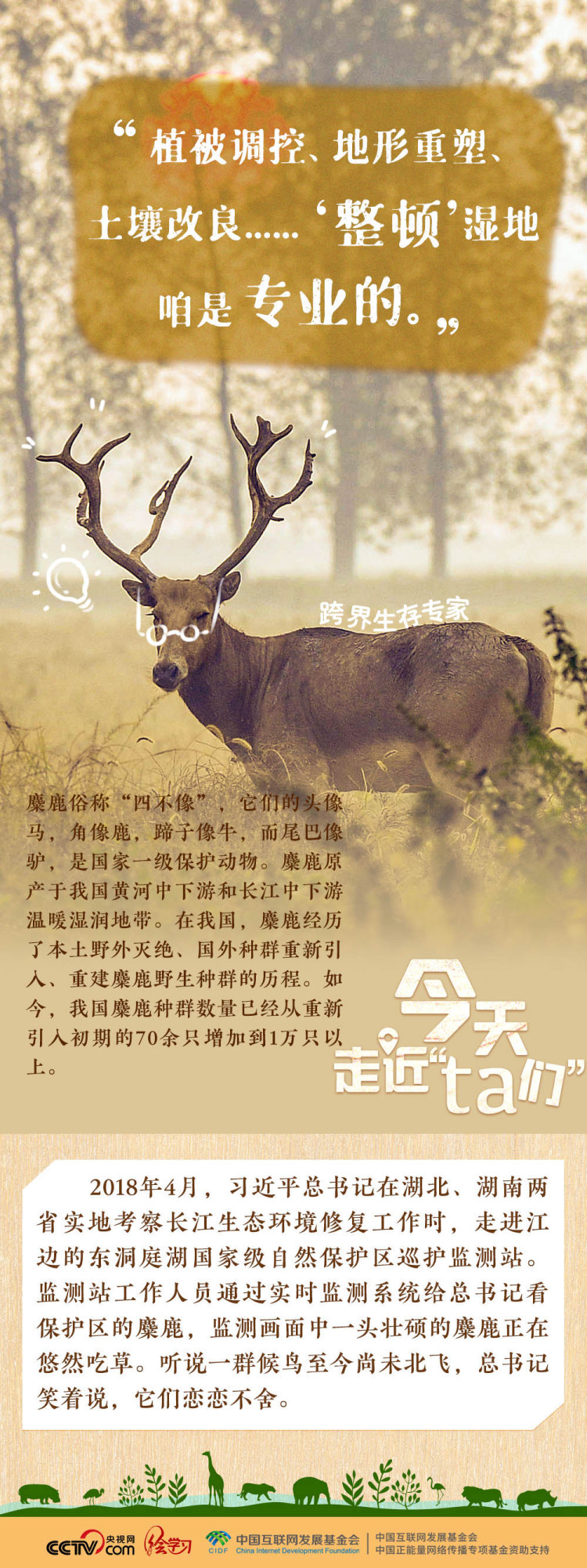 天天學習｜習近平特別關注的“TA們”