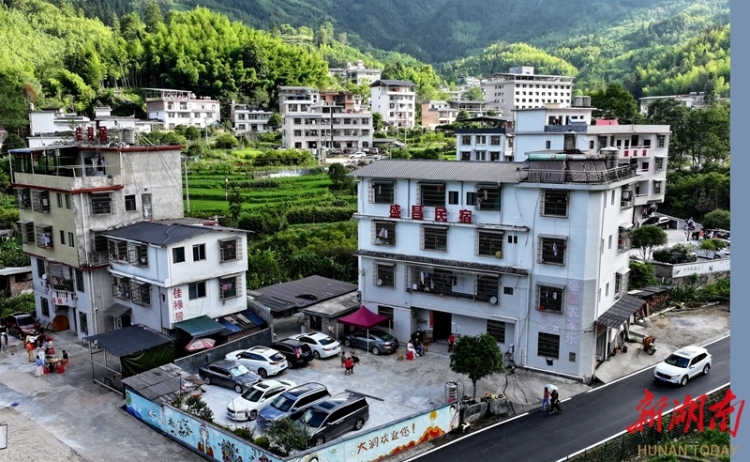 湖南桂東旅居避暑遊持續升溫_fororder_微信圖片_20250724094441