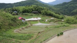 湖南城步維修水渠“暢”民心