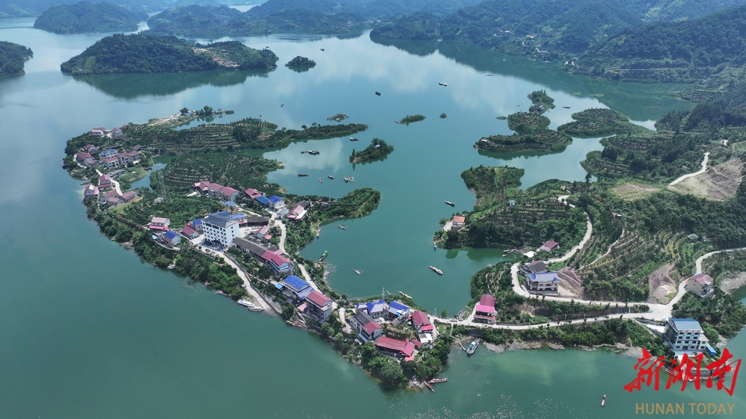 品亞運柑橘,賞千島湖景!10月26日一起到安化寶塔山組個“橘”_fororder_5