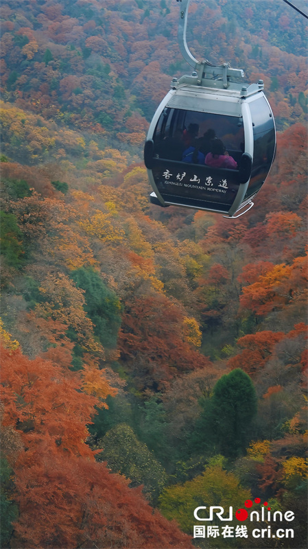 台灣自媒體人點讚四川光霧山絕美秋色(兩岸關係)_fororder_4