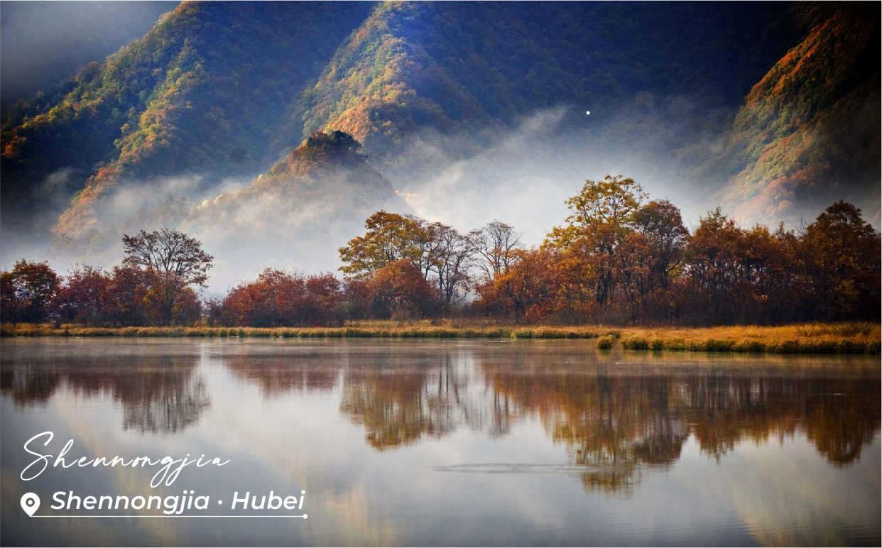 Hubei Accelerates Development of World-Renowned Cultural and Tourism Destination_fororder_1