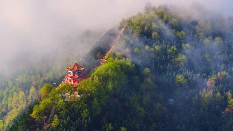從紅色記憶到草原風情 岷縣文旅魅力綻放_fororder_1