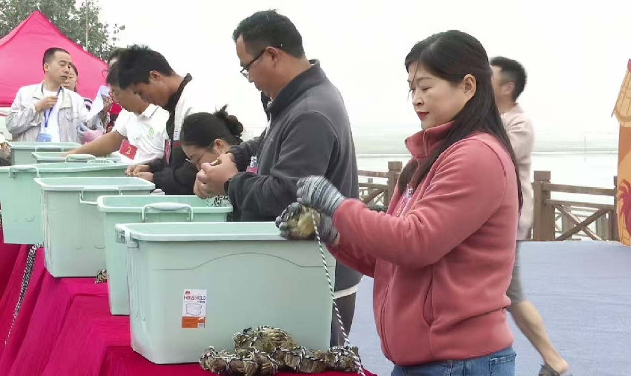 The 7th Wuhe Crab Festival Kicks Off: Using Crabs as a Medium to Paint a New Picture of Rural Revitalization_fororder_圖片5