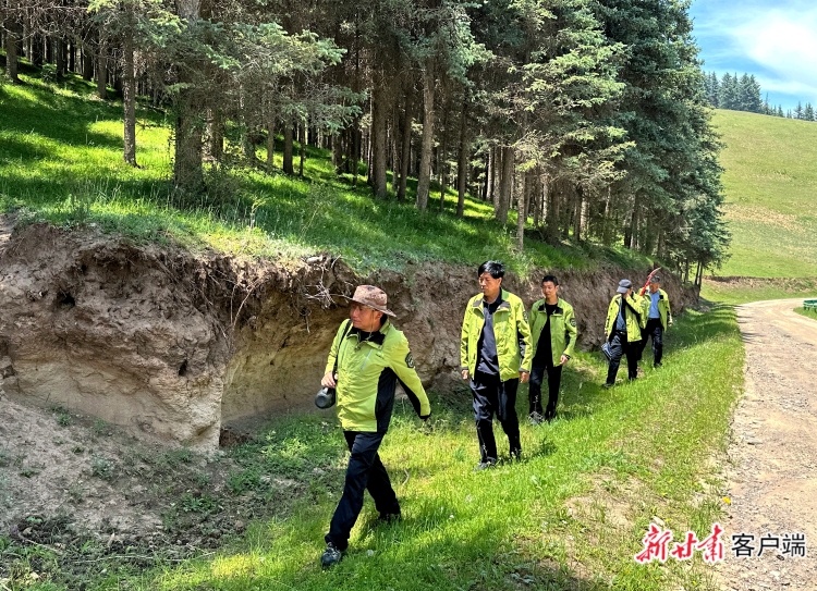 守護祁連萬頃綠——甘肅祁連山國家級自然保護區管護中心黃草嶺資源管護站護林一線見聞_fororder_祁連山2