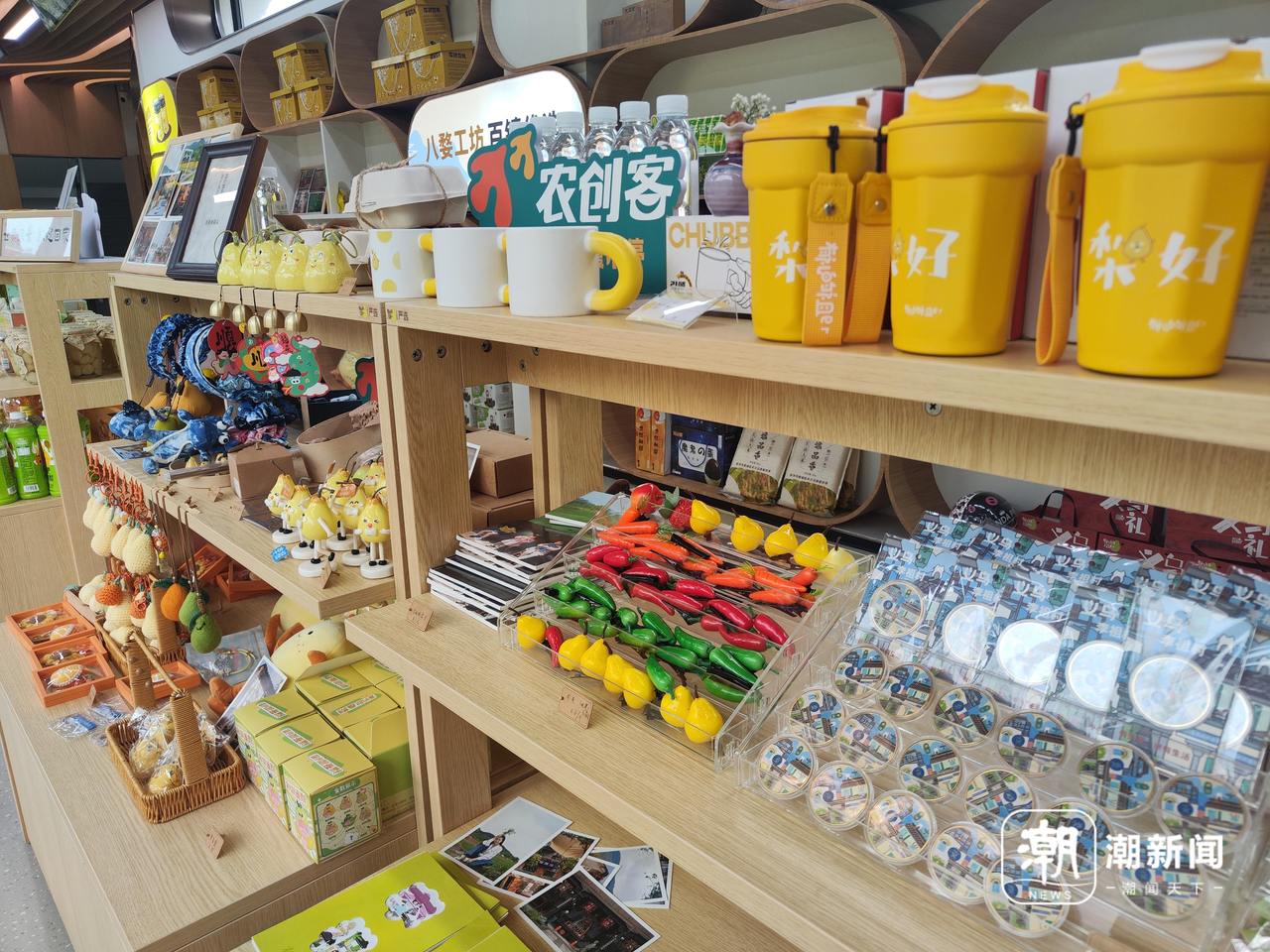 青年農創客激發鄉村發展活力