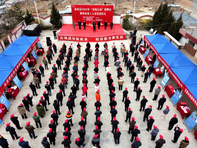 天水秦安：多維發力促就業 為民實事惠民生_fororder_2