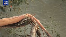 美國得州洪災仍有超170人下落不明 暴雨再襲致搜救暫停