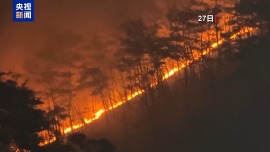 總臺現場直擊丨韓國山火蔓延 災區財産損失慘重 火線綿延數公里
