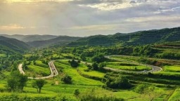 天水清水：千年“漢麻”煥新顏 以麻為媒繪就産業振興新圖景