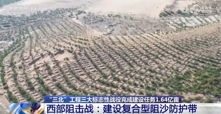 “三北”工程三大標誌性戰役成效如何？一組數據帶你了解_fororder_3