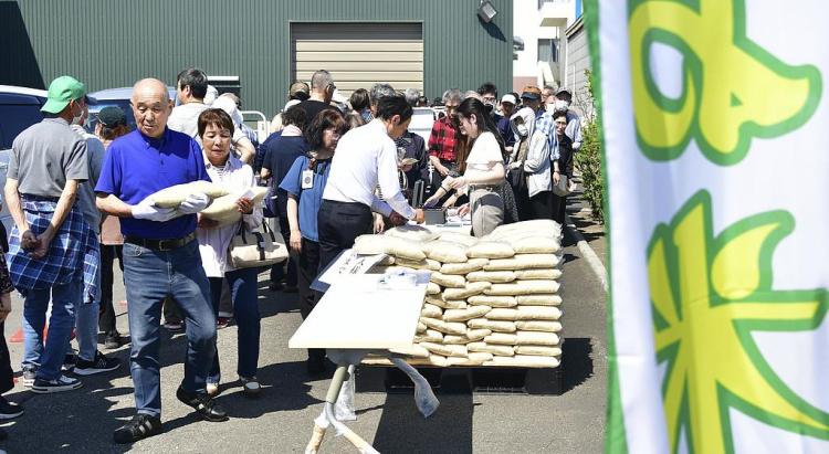 日本多地嚴重缺水 水稻産區面臨“新米危機”