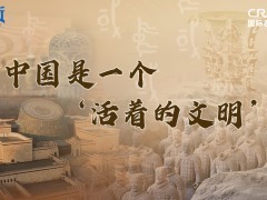 “中國是一個‘活著的文明’”_fororder_推薦圖
