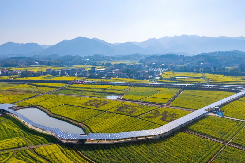 湖南雙峰以花為媒，賦能鄉村振興_fororder_微信圖片_20250317152506