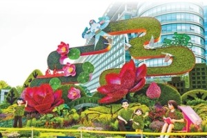 千家萬盆鮮花祝福祖國 北京市民自育花卉亮相長安街國慶主題花壇