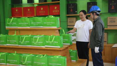 Nanyang, Henan Launches Summer Electricity Safety Inspections
