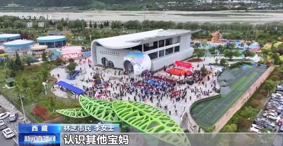 輝煌60載 魅力新西藏丨城市微更新 衛星視角看變化