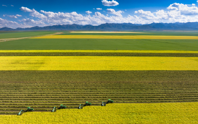 山丹草原畜牧業轉型升級繪出鄉村振興新畫卷_fororder_祁連山下好“豐”景