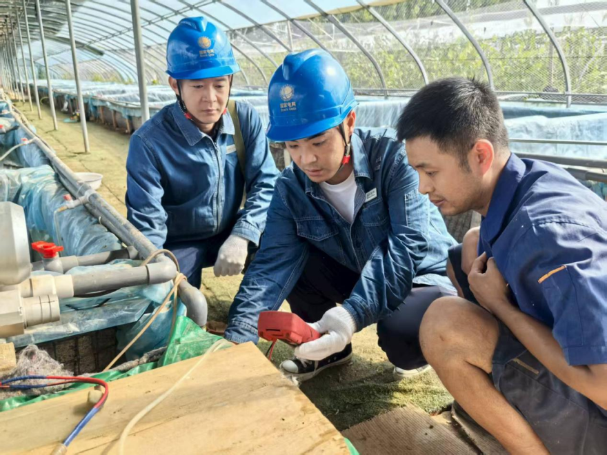 Jiaozuo, Henan: Power Supply Safeguards Aquaculture Industry_fororder_圖片1