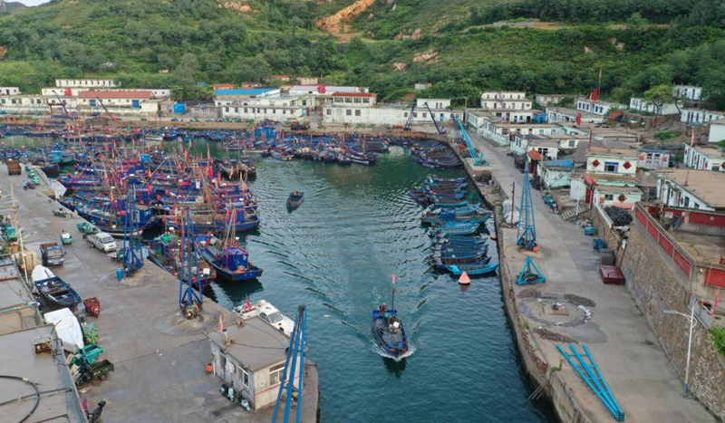 백여 척 어선, 옌타이 창다오서 '첫 그물' 쳤다_fororder_圖片4