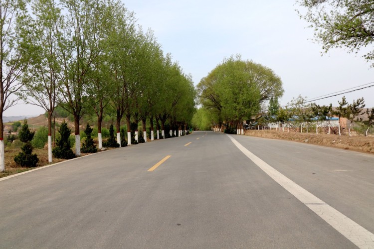 雲山鎮雲土路：“四好公路”繪新景 繁花漫道促振興_fororder_雲山路