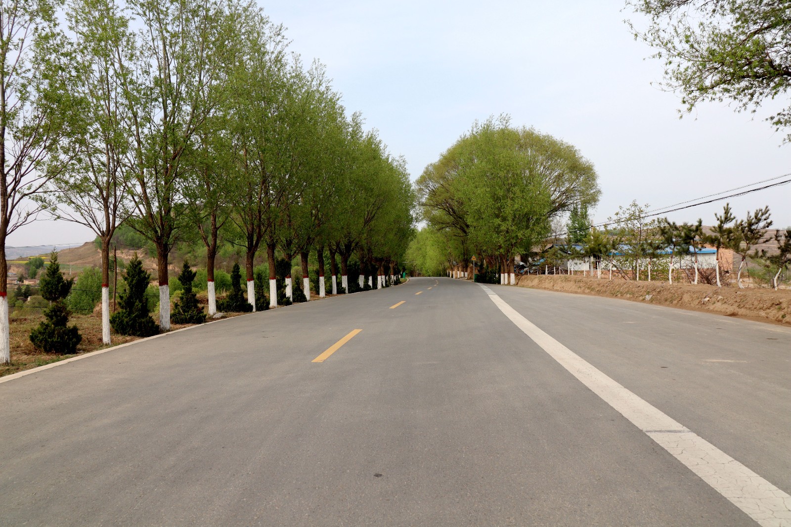 雲山鎮雲土路：“四好公路”繪新景 繁花漫道促振興_fororder_雲山路