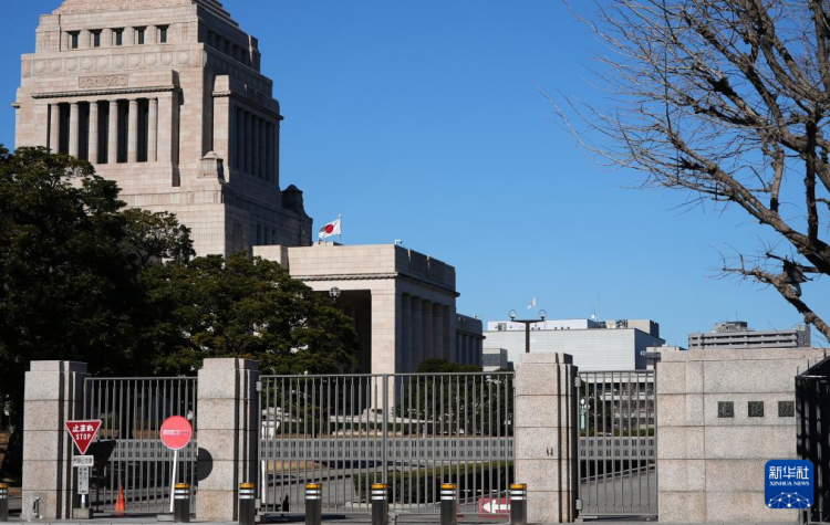 熱點問答丨高市早苗為何要提前大選