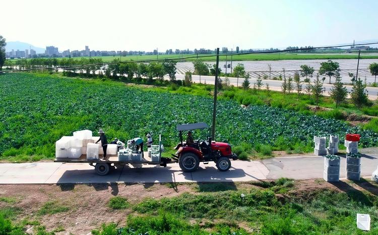 甘肅山丹：點土成金“硒”望無限 富硒農品走俏滬粵市場_fororder_1