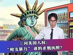 【DIG DEEP】三問美國人權：“槍支暴力” 誰的殺戮執照？