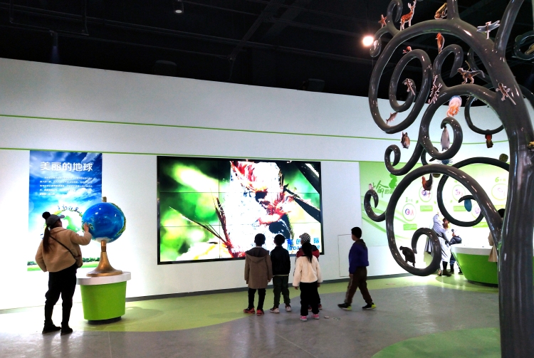 張掖山丹：科技創新為縣域經濟高品質發展蓄勢賦能_fororder_2019年11月2日遊客在山丹縣科技館參觀體驗 翟繼宗