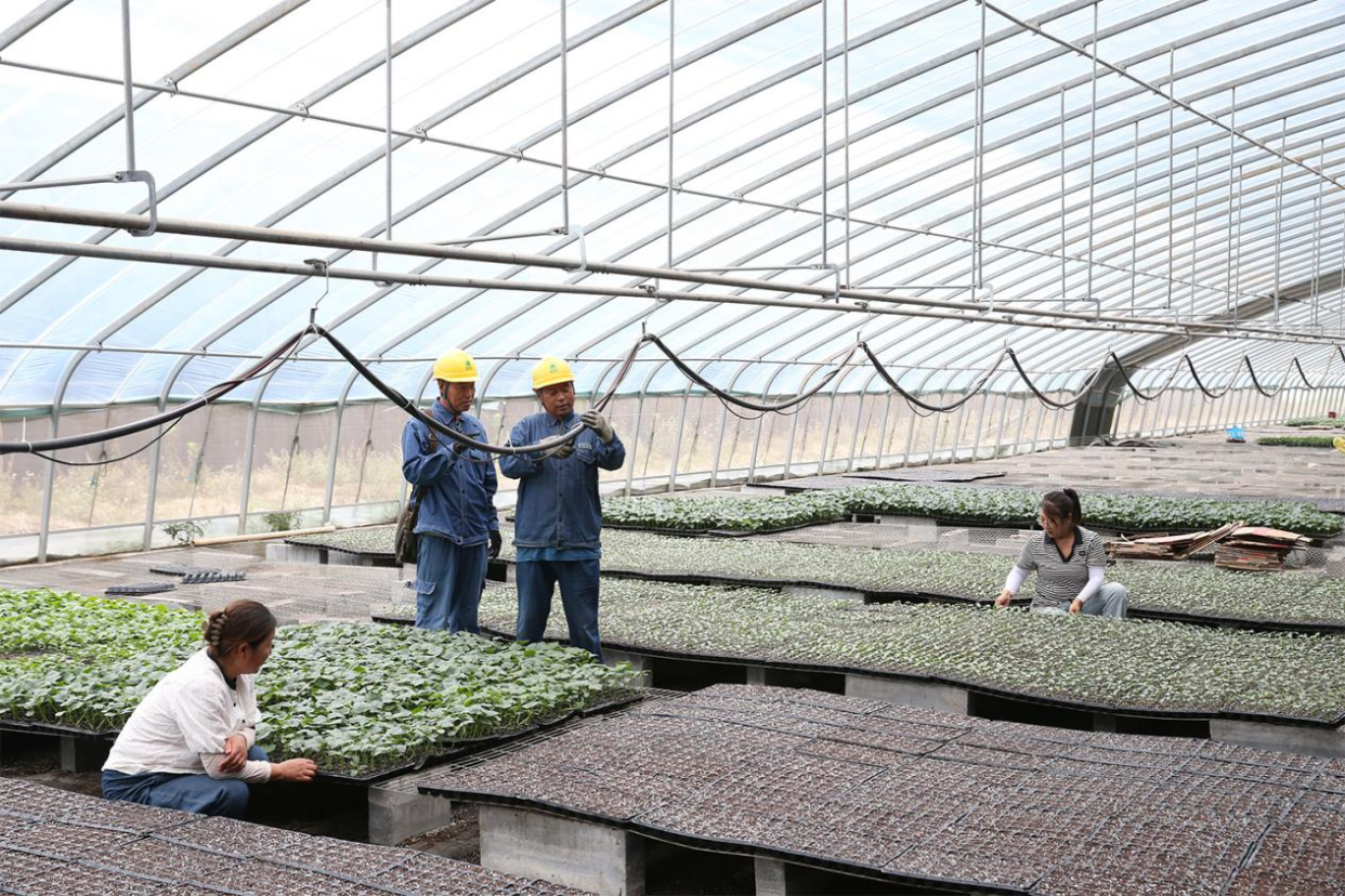 Jiaozuo, Henan: Reliable Power Supply Injects Strong Momentum into the “Vegetable Capital”_fororder_圖片2