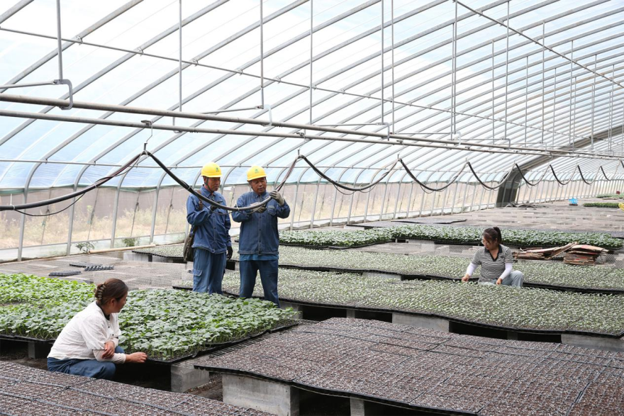 Jiaozuo, Henan: Reliable Power Supply Injects Strong Momentum into the “Vegetable Capital”_fororder_圖片2