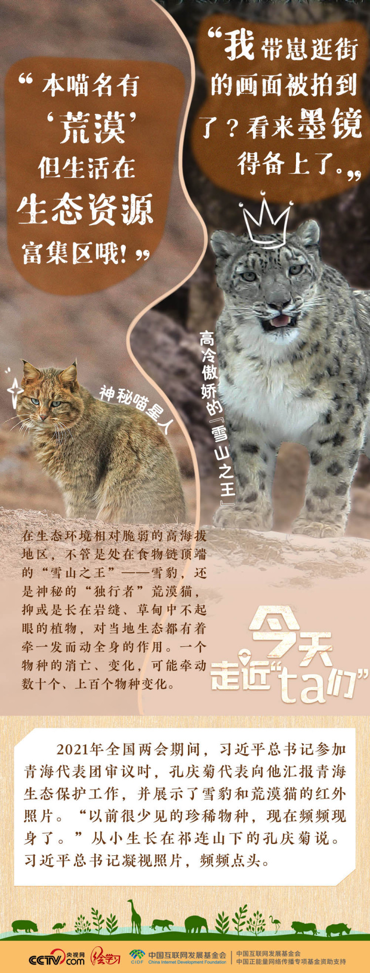 天天學習｜習近平特別關注的“TA們”