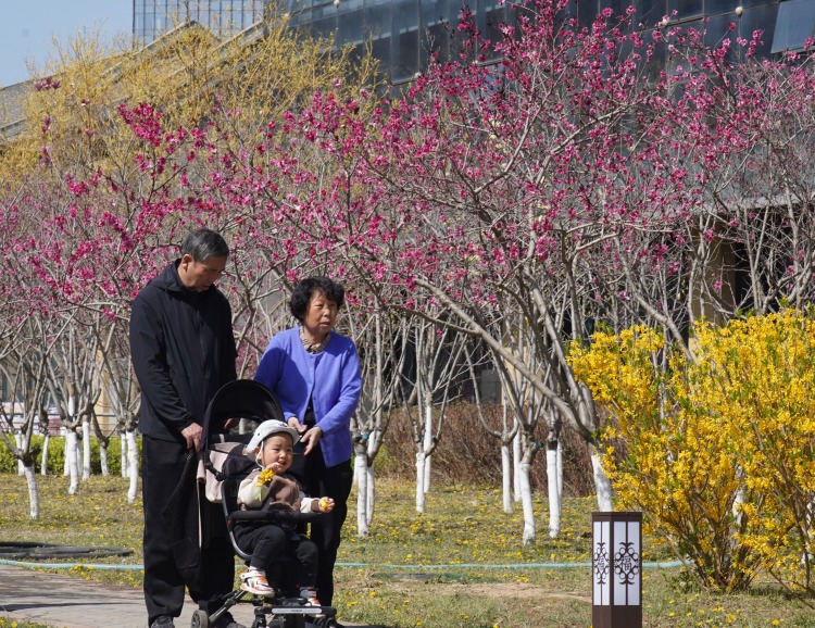 花海盛景 一起共赴天水秦州春日之約_fororder_1744030583638012227