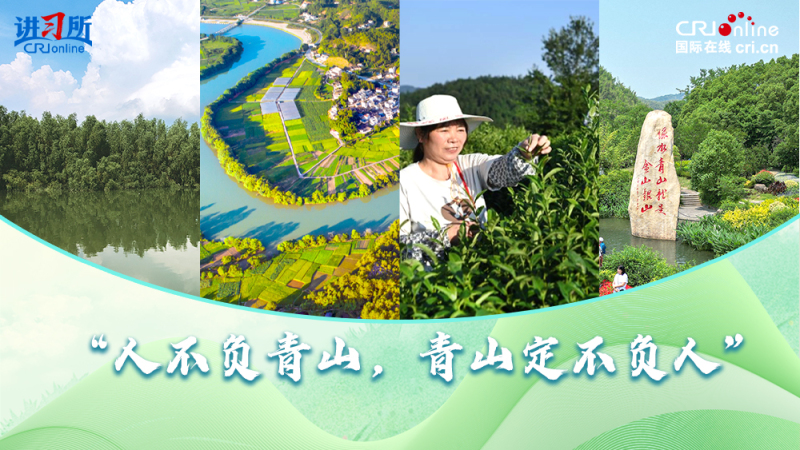 【講習所·中國與世界】“人不負青山，青山定不負人”_fororder_封面(1)