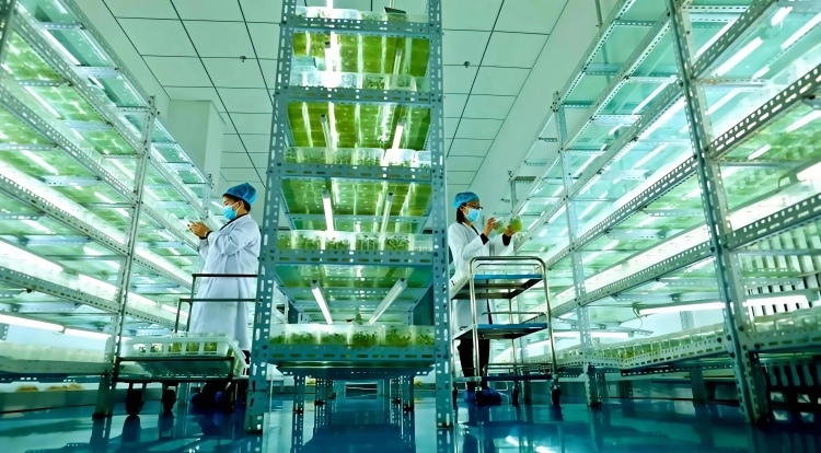 張掖山丹：科技創新為縣域經濟高品質發展蓄勢賦能_fororder_1ef906d4b89d475cbca9d154e52b88f8_edit_166173162261295