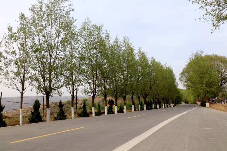 雲山鎮雲土路：“四好公路”繪新景 繁花漫道促振興_fororder_雲山路2
