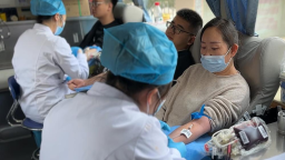 蘭州石化榮獲2022至2023年度“全國無償獻血促進獎”